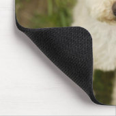 Poodle (weiß) mousepad (Ecke)