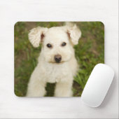 Poodle (weiß) mousepad (Mit Mouse)