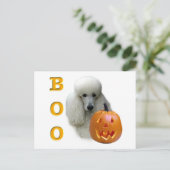 Poodle (weiß überzogen) Boo Postkarte (Stehend Vorderseite)