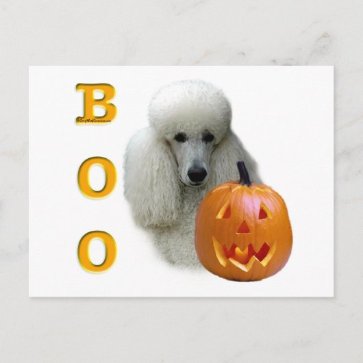Poodle (weiß überzogen) Boo Postkarte (Vorderseite)