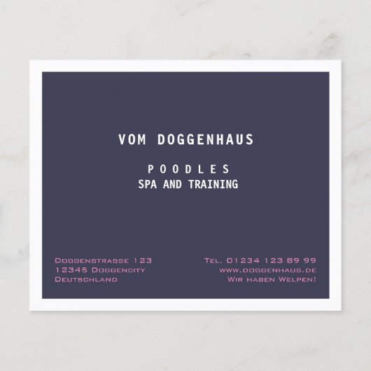 Poodle Wellness-Center Moderner abstrakter Flyer (Hinten)
