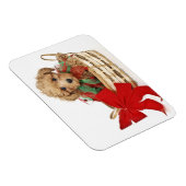 Poodle Welpe sitzt im Weihnachtskorb Magnet (Rechte Seite)