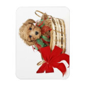 Poodle Welpe sitzt im Weihnachtskorb Magnet (Vertikal)