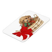 Poodle Welpe sitzt im Weihnachtskorb Magnet (Linke Seite)