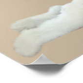 Poodle White Beautiful Print Poster (Ecke)