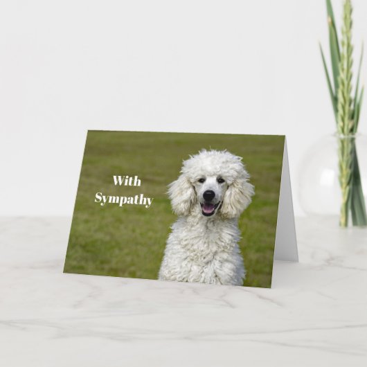 Poodle White Dog Foto Beileid Karte (Vorderseite)