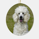 Poodle White Dog Foto Keramik Ornament (Links)