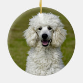 Poodle White Dog Foto Keramik Ornament (Hinten)