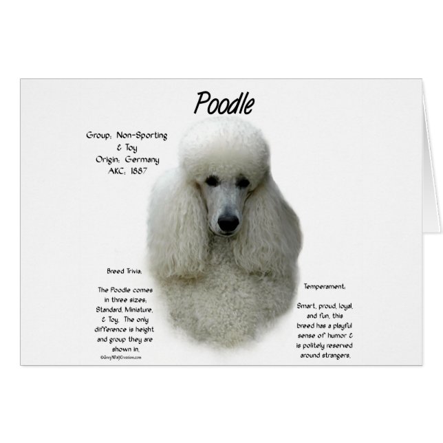 Poodle (wht) History Design (Vorderseite (Horizontal))
