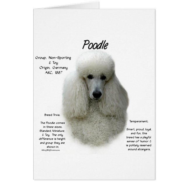 Poodle (wht) History Design (Vorne)