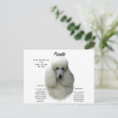 Poodle (wht) History Design Postkarte (Stehend Vorderseite)