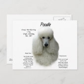 Poodle (wht) History Design Postkarte (Vorne/Hinten)