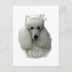 Poodle (wht) Mama 2 Postkarte