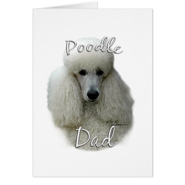Poodle (wht) Vater 2 (Vorne)
