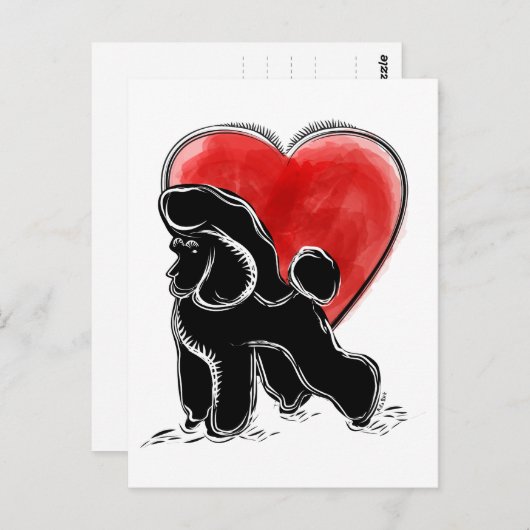Poodle Zeichnend Postkarte (Vorne/Hinten)