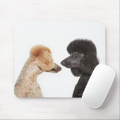 Poodles, die einander untersuchen mousepad (Mit Mouse)