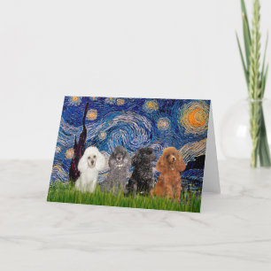 Poodles (vier) - Starry Night Karte