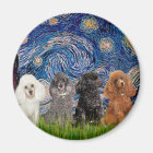 Poodles (vier) - Starry Night