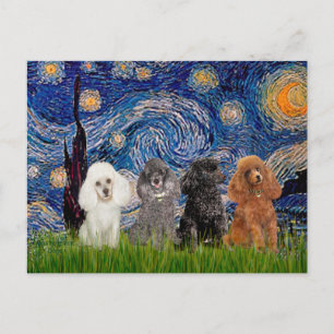Poodles (vier) - Starry Night Postkarte
