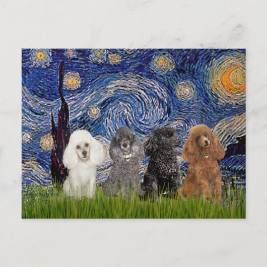 Poodles (vier) - Starry Night Postkarte (Vorderseite)