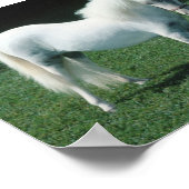 Poofy White Pony Poster (Ecke)