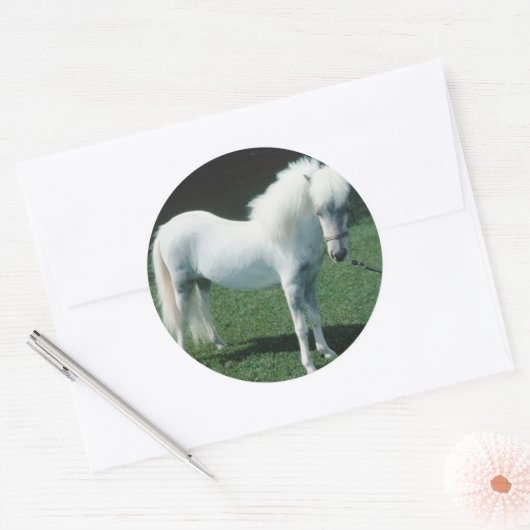 Poofy White Pony Runder Aufkleber (Umschlag)
