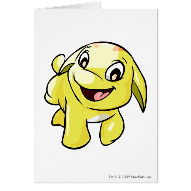 Poogle Gelb (Vorne)