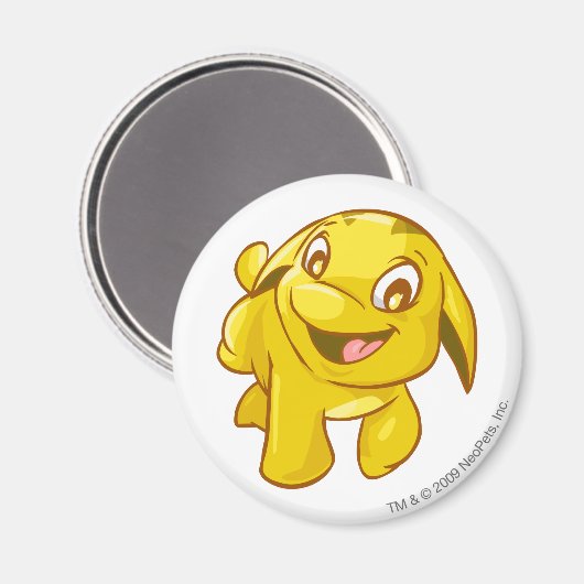 Poogle Gold Magnet (Vorderseite/Rückseite)