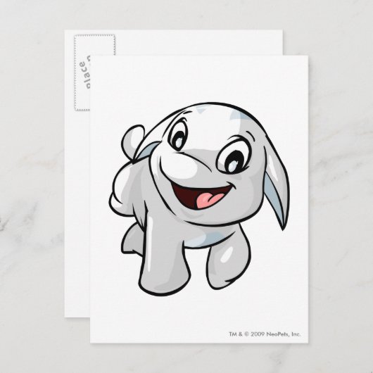 Poogle White Postkarte (Vorne/Hinten)