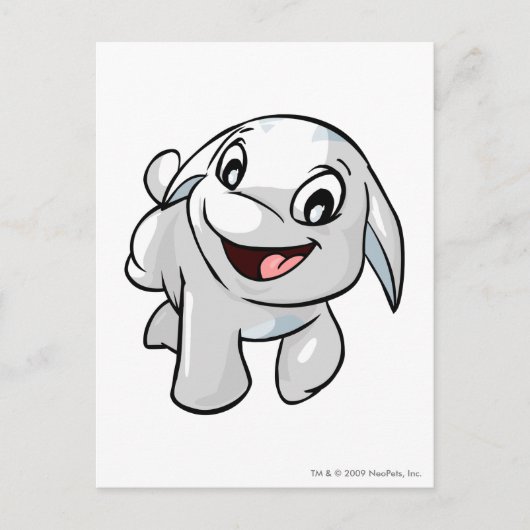 Poogle White Postkarte (Vorderseite)