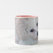 Pookie Zweifarbige Tasse (Mittel)