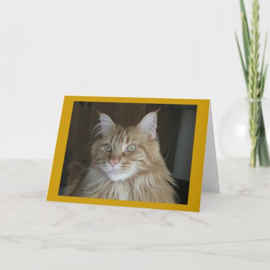 "Pooky" Karte (Vorderseite)