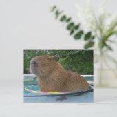 Pool Capybara Postkarte (Stehend Vorderseite)