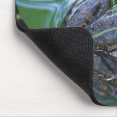 Pool Frog, Amperauen, Deutschland Mousepad (Ecke)