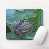 Pool Frog, Amperauen, Deutschland Mousepad (Mit Mouse)