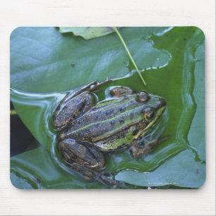 Pool-Frosch, Amperauen, Deutschland Mousepad