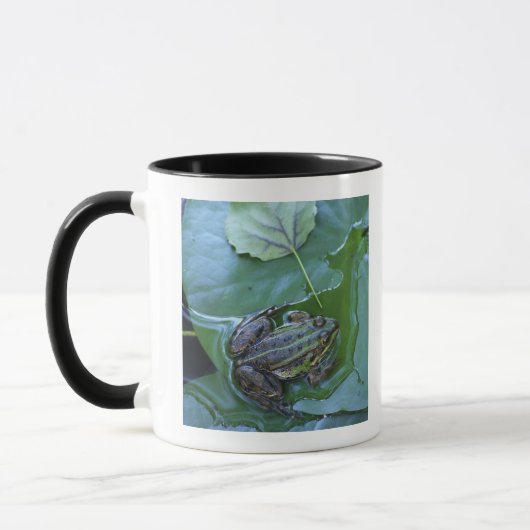 Pool-Frosch, Amperauen, Deutschland Tasse (Links)