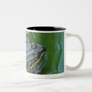 Pool-Frosch, Amperauen, Deutschland Zweifarbige Tasse
