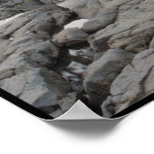 Pool of Dreams - Eagle Fall Lake Tahoe, CA Poster (Ecke)