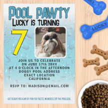 Pool-Party-Hund Geburtstagsfeier mit individuellem