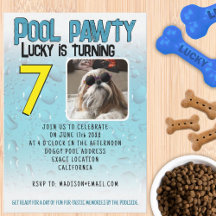 Pool-Party-Hund Geburtstagsfeier mit individuellem