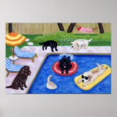 Pool Party Labradors (neu) Artwork Poster (Vorne)