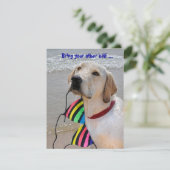 Pool Party Spaß Einladung (Stehend Vorderseite)