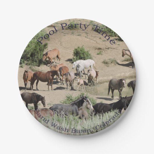 Pool-Party-Zeit-Sand-Wäsche-Becken Pappteller (Vorderseite)