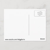 Poole's Mill Covered Bridge Postkarte (Rückseite)