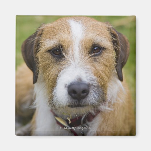 Pooley Bridge Cumbria england 2 Magnet (Vorne)