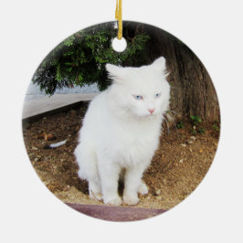 Pooping Cat Keramik Ornament