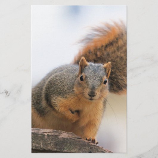 Poor Briefpapier (Vorderseite)