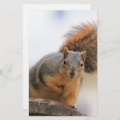 Poor Briefpapier (Vorne/Hinten)