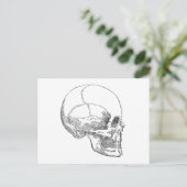 Poor Yorick Skull Postkarte (Stehend Vorderseite)